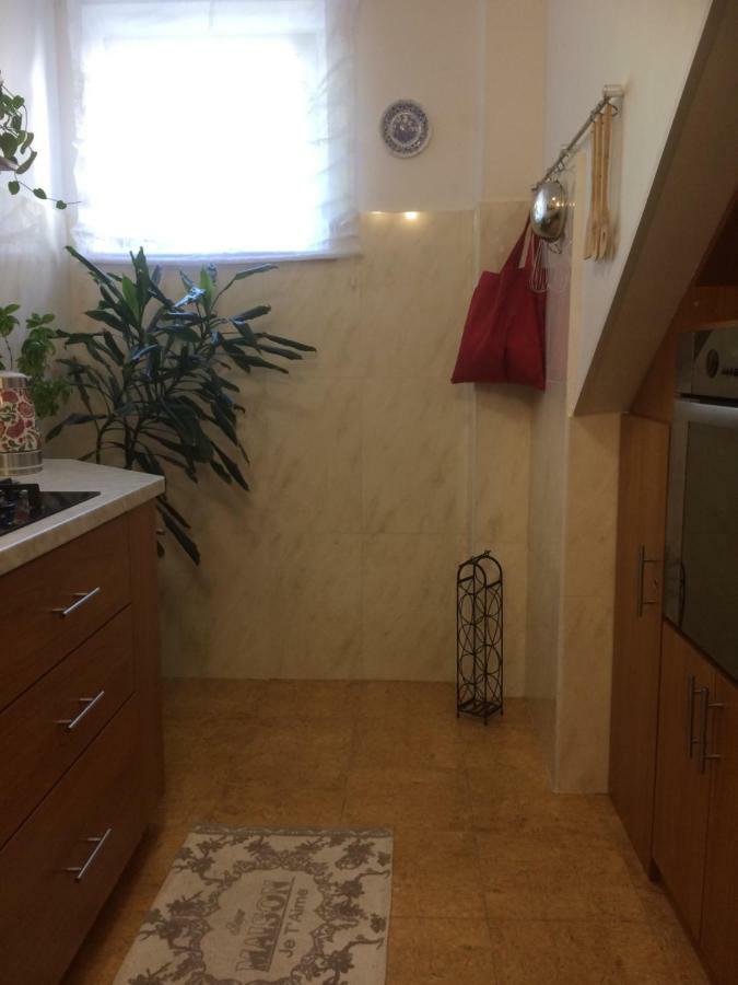 Apartman Vitis 杜布罗夫尼克 外观 照片